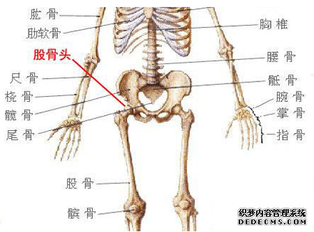 前列腺增生的特征