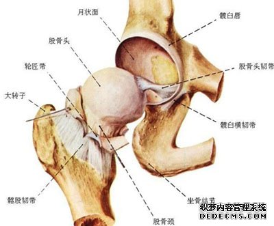 为什么会得前列腺增生?