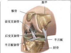 专家提示：小心外伤诱发射精障碍